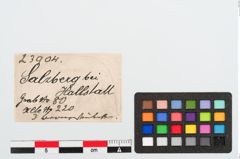 Etiketten zu Bronzeröllchen (NHMW-PRAE-023904)